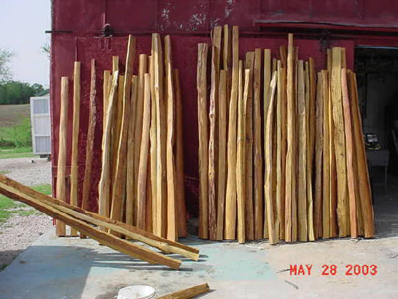 Osage orange staves being sealed for storage.