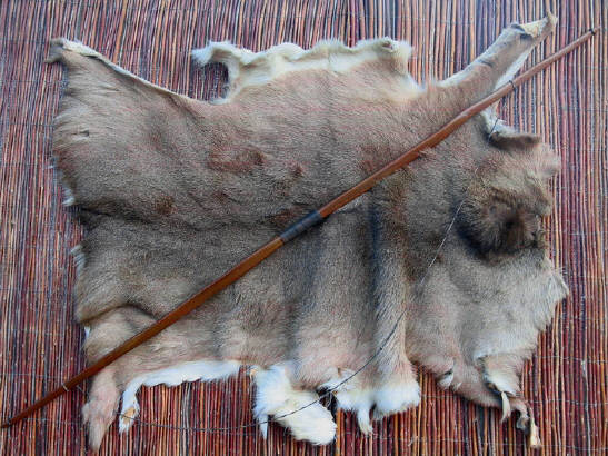 Bow on an Animal Skin Rug